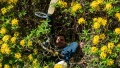 Thumbnail for version as of 12:34, 16 February 2025