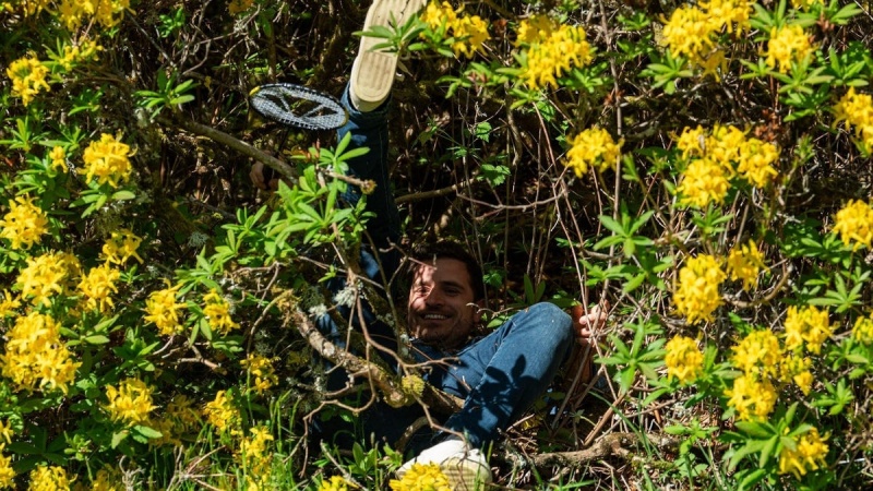 File:The traitors 2025 alexander in a bush.jpg